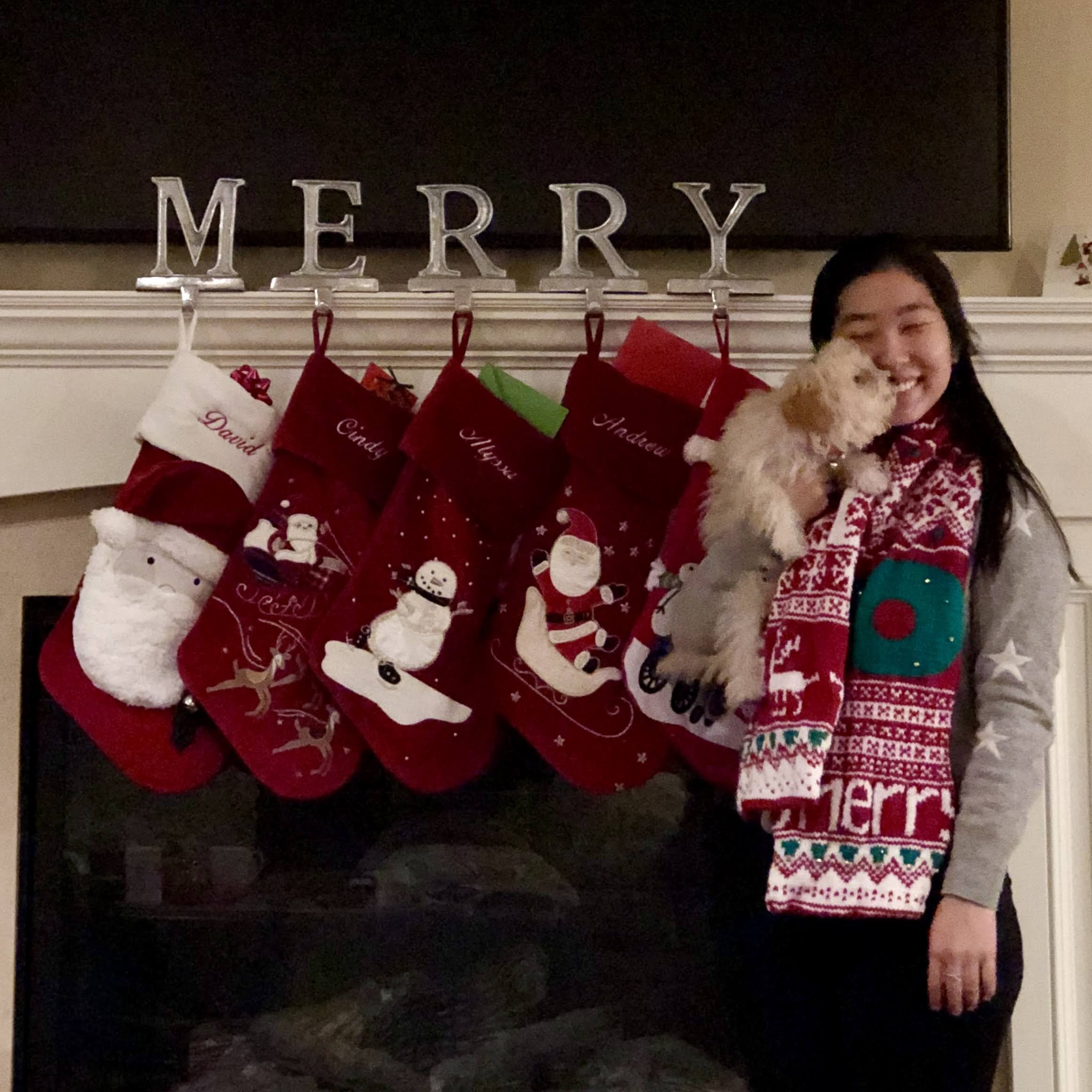A stranded colorwork knit scarf in the style of an ugly Christmas sweater. It is mostly red and white, with a large green wreath, snowflakes, reindeer, and "MERRY" in big letters. I am wearing it and posing next to some stockings hung on a fireplace with my small fluffy dog, who is trying to lick my nose.