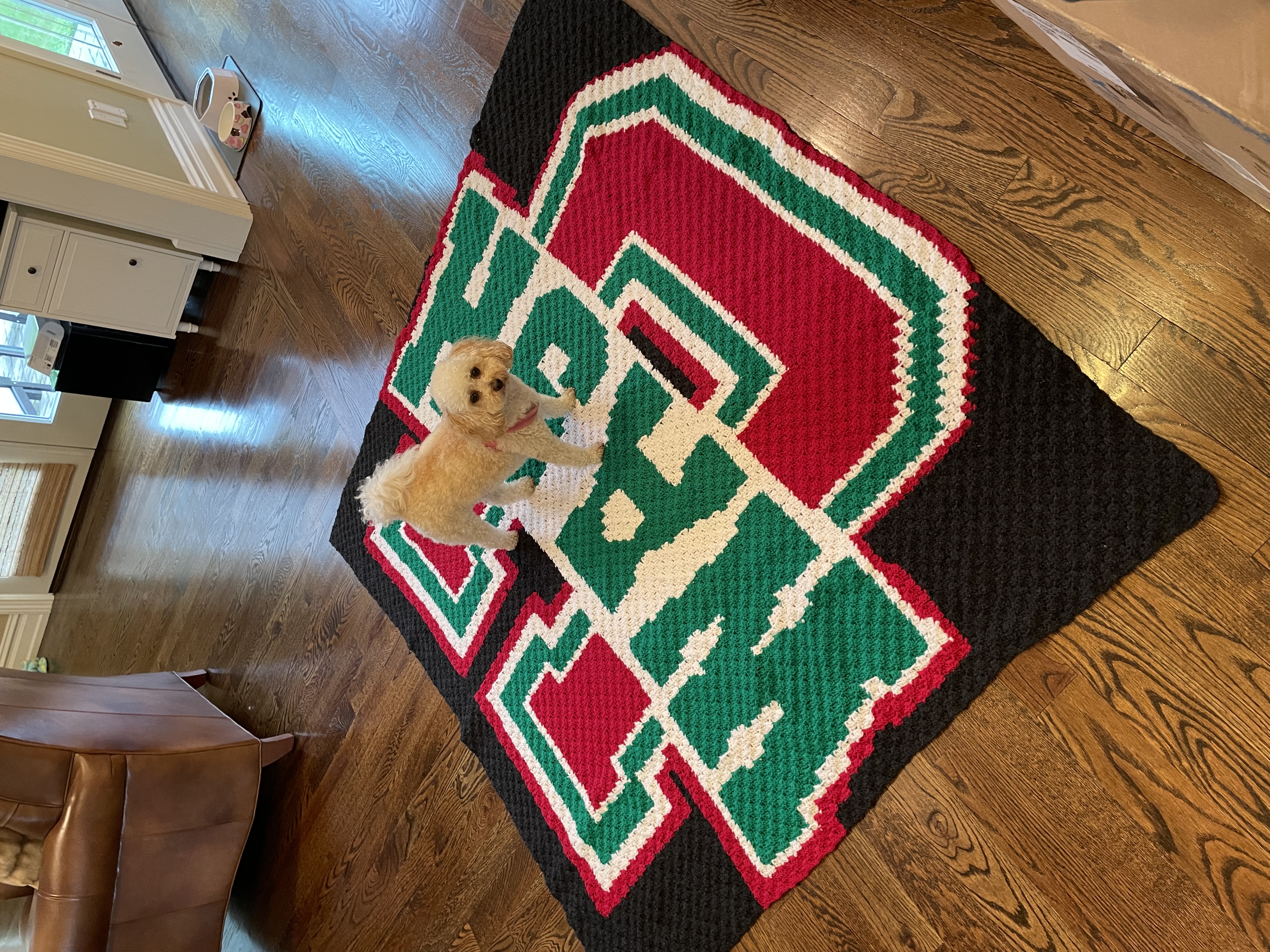 A large WashU blanket for my brother. This blanket was made with the C2C (corner to corner) technique and took several months!