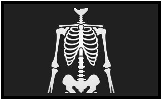 X-ray image of a human torso.